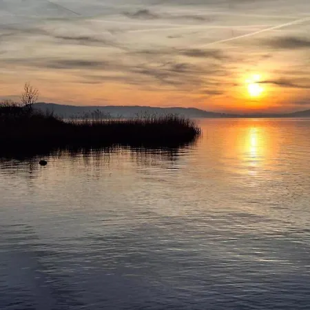 Tranquil Escape In 別荘 *