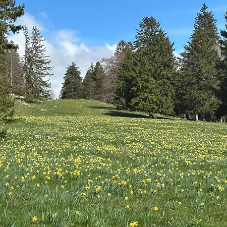 Tranquil Escape In *