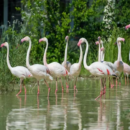 Tranquil Escape In * Hallschlag