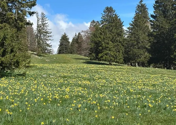 Tranquil Escape In *