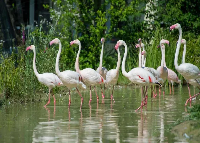 Tranquil Escape In * Hallschlag